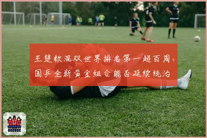 王楚钦混双世界排名第一超百周,国乒全新黄金组合能否延续统治